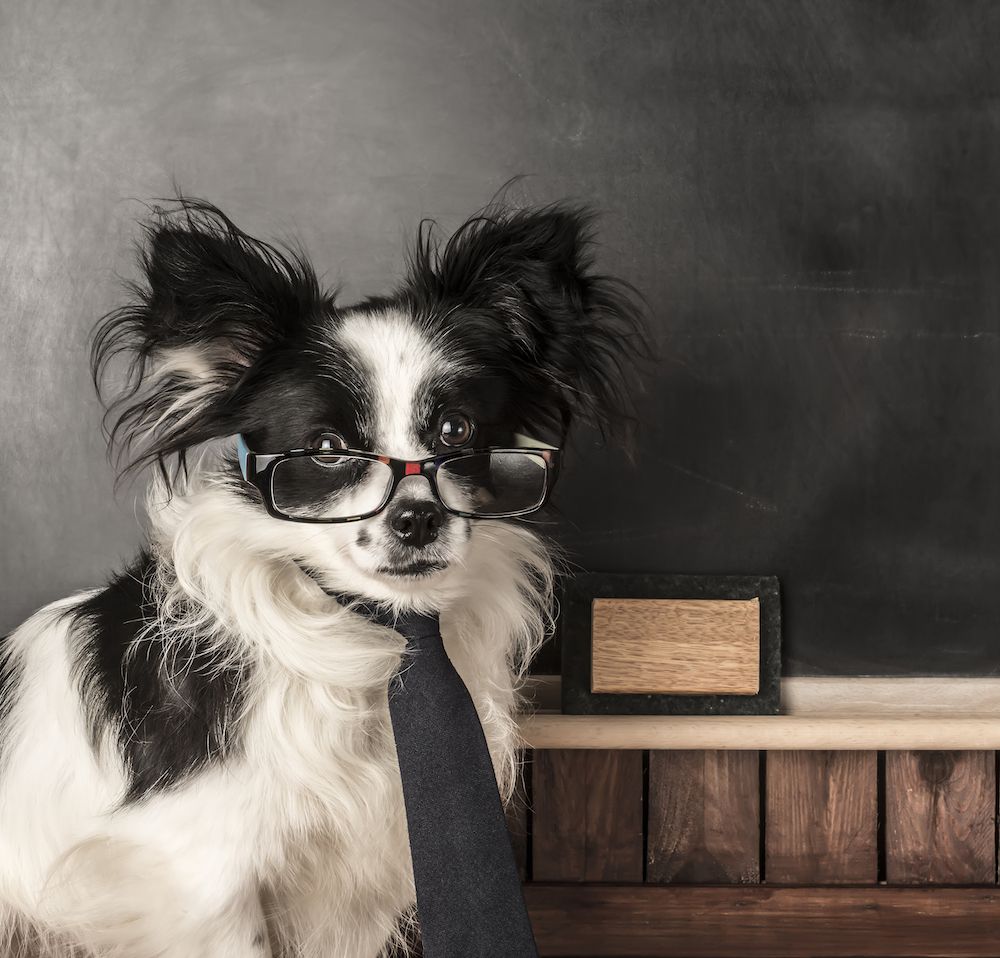 More Report Cards ... 